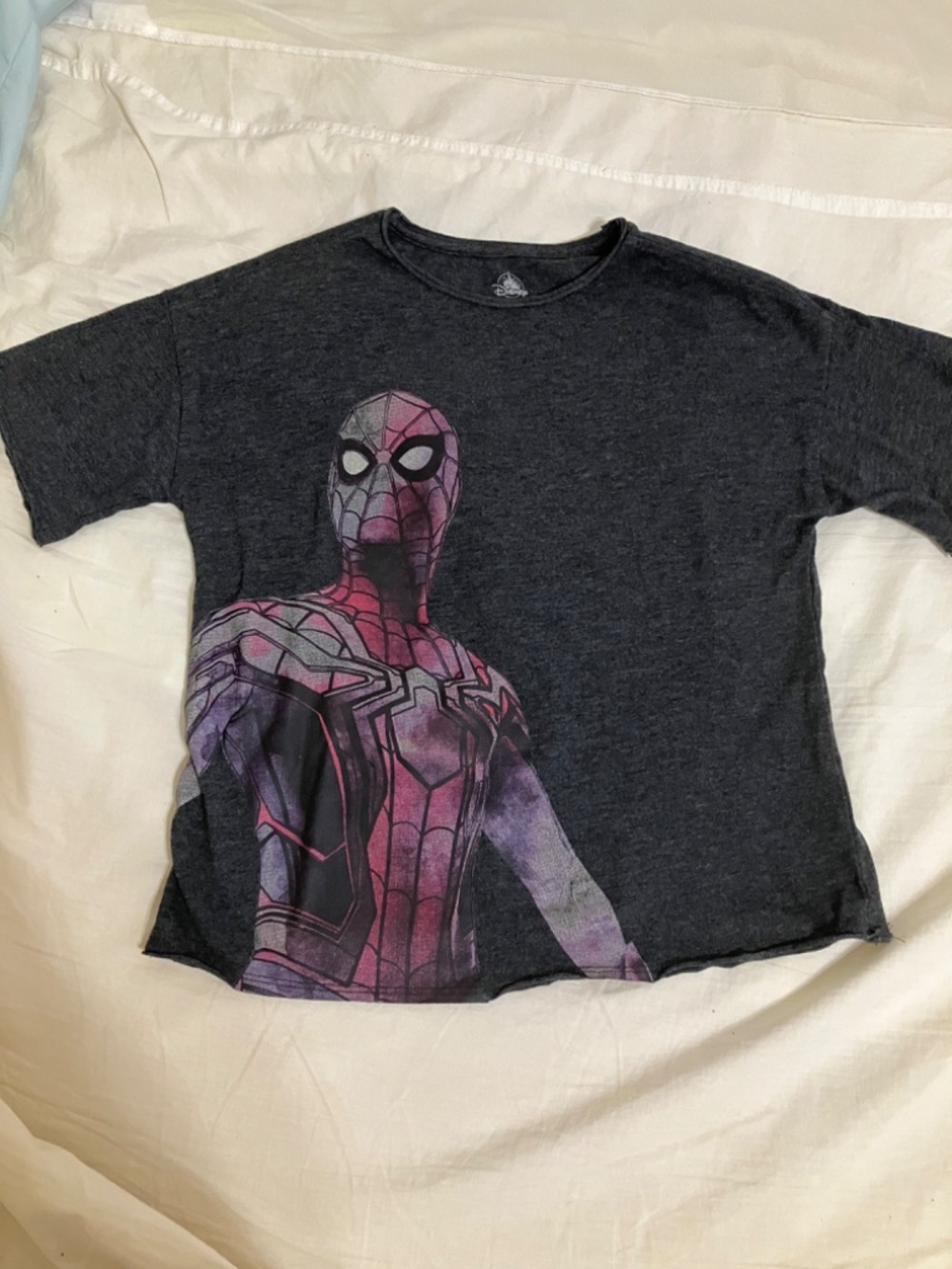 Spider-Man - Picture 2 of 3